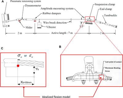 Probabilistic Fatigue Fragility Curves for Overhead Transmission Line Conductor-Clamp Assemblies